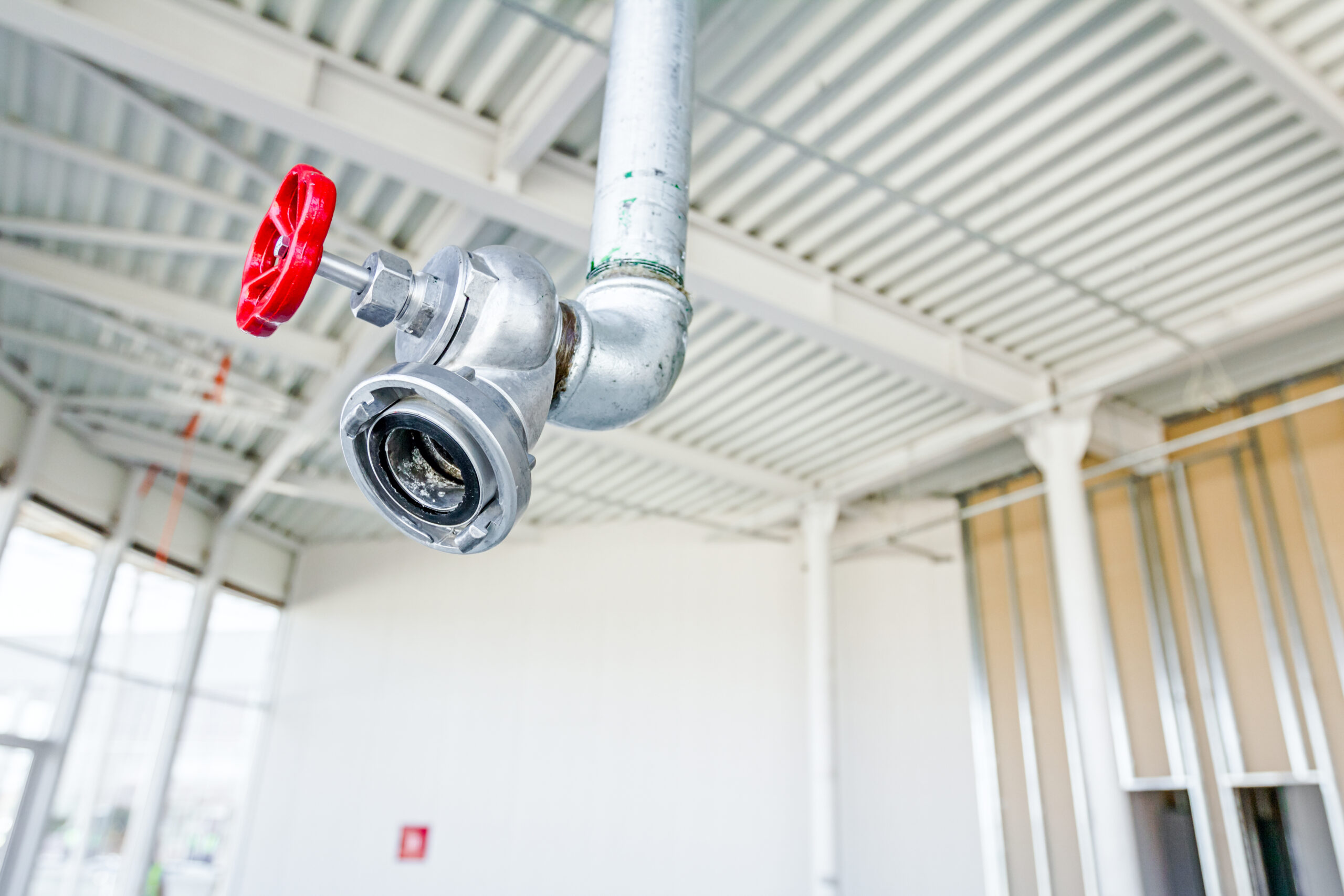 Foto: Roman_023_photography / Shutterstock 