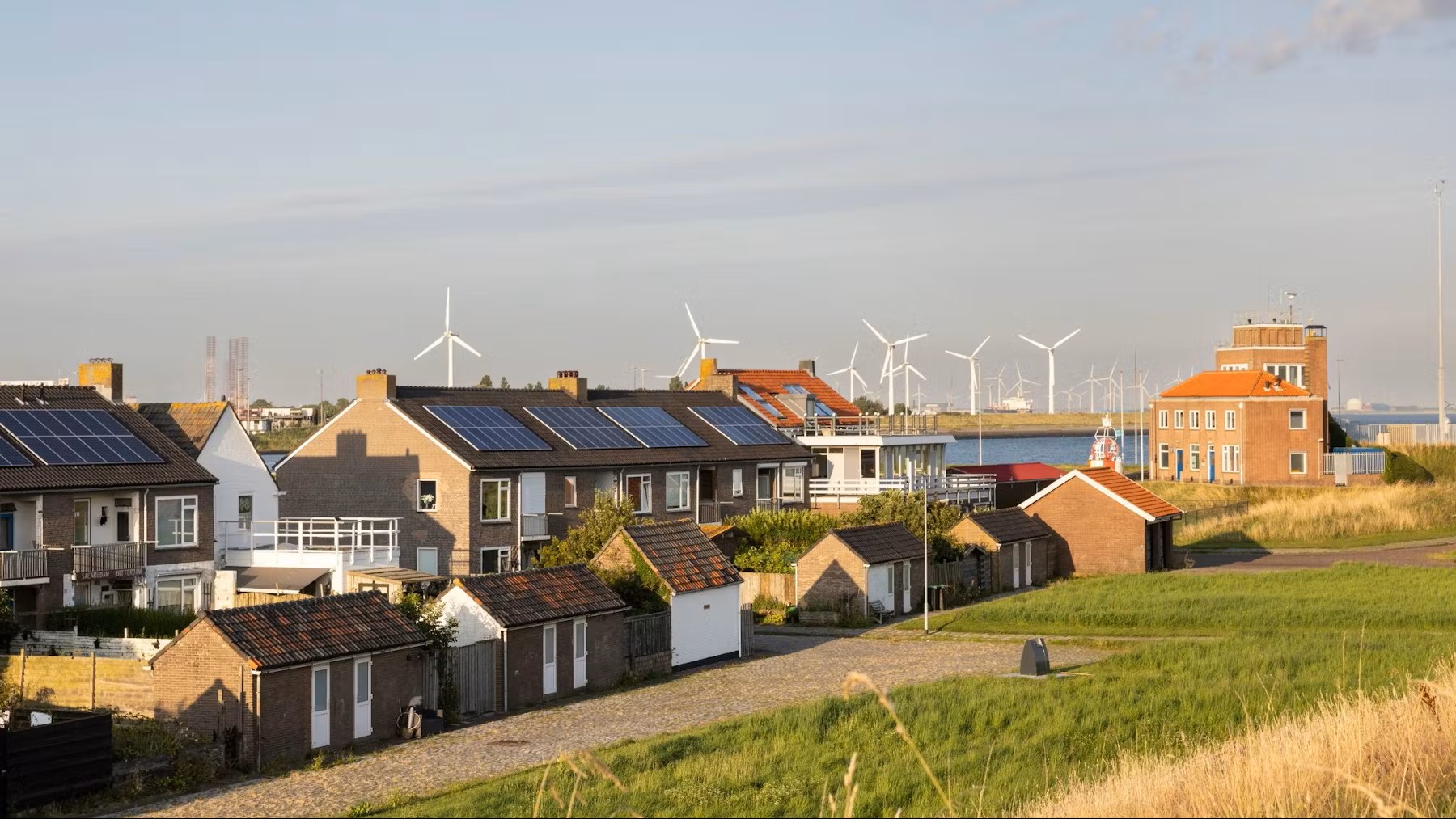 Beeld Lea Rae/Shutterstock.com