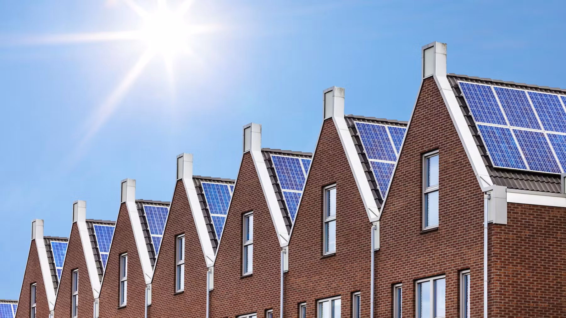 Beeld: Martin Bergsma/Shutterstock.com