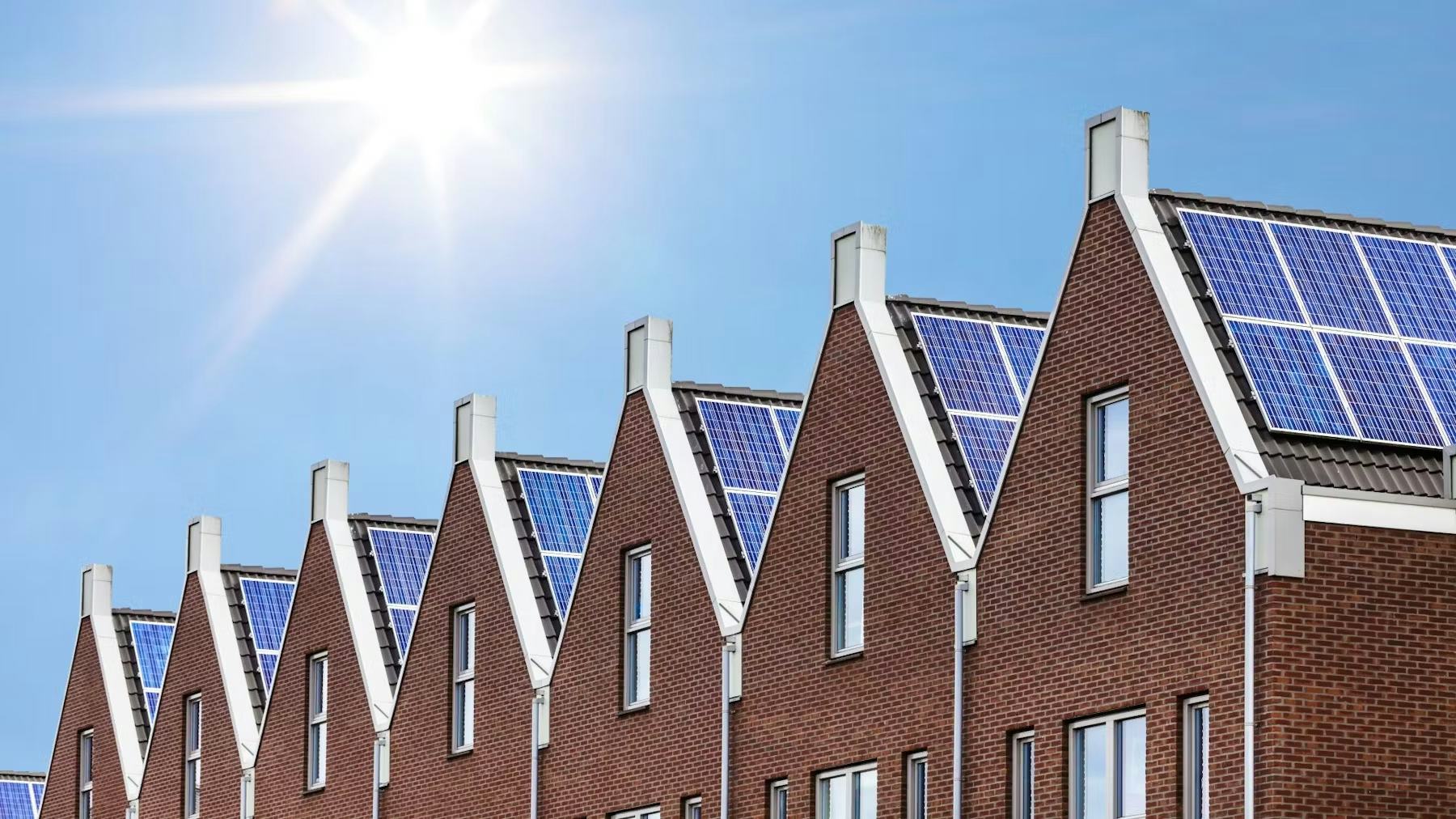 Beeld: Martin Bergsma/Shutterstock.com