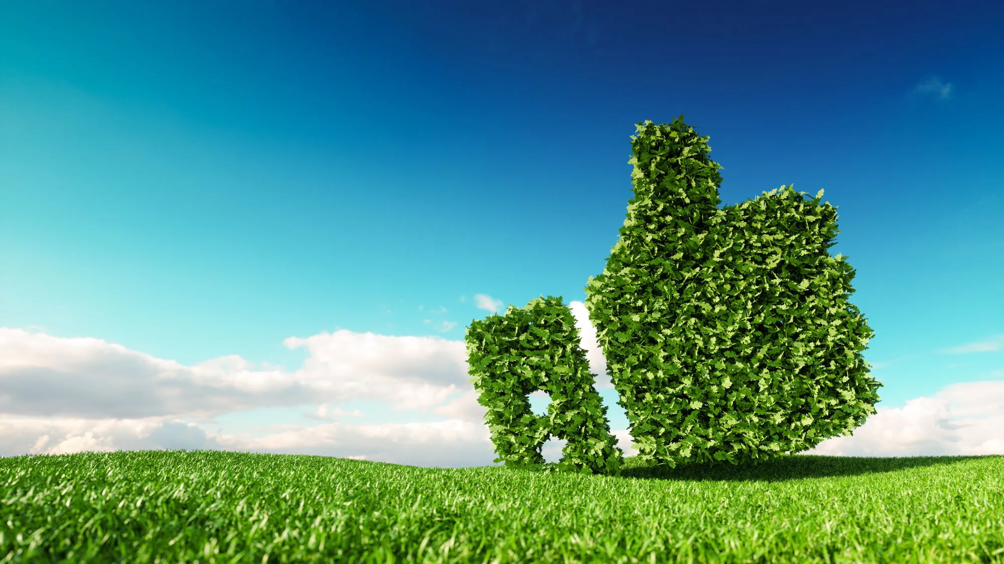 Beeld: Shutterstock